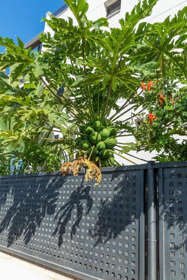 Medano4You The Strelitzia Terrace El Médano Exterior foto